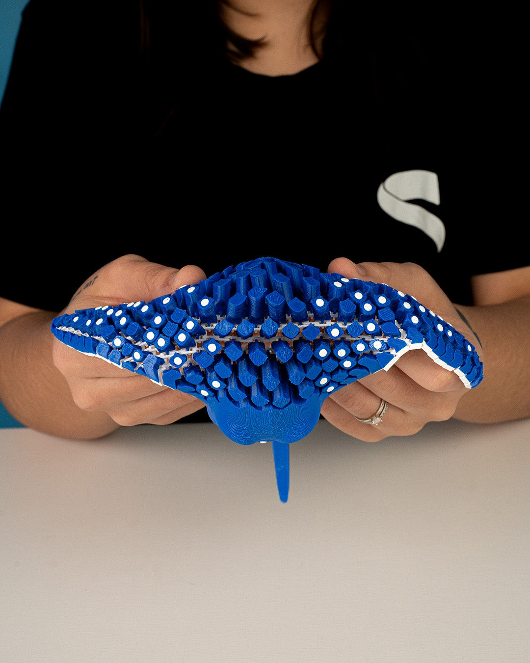 Rochen gefleckter Adlerrochen Fidget Flex artikuliert